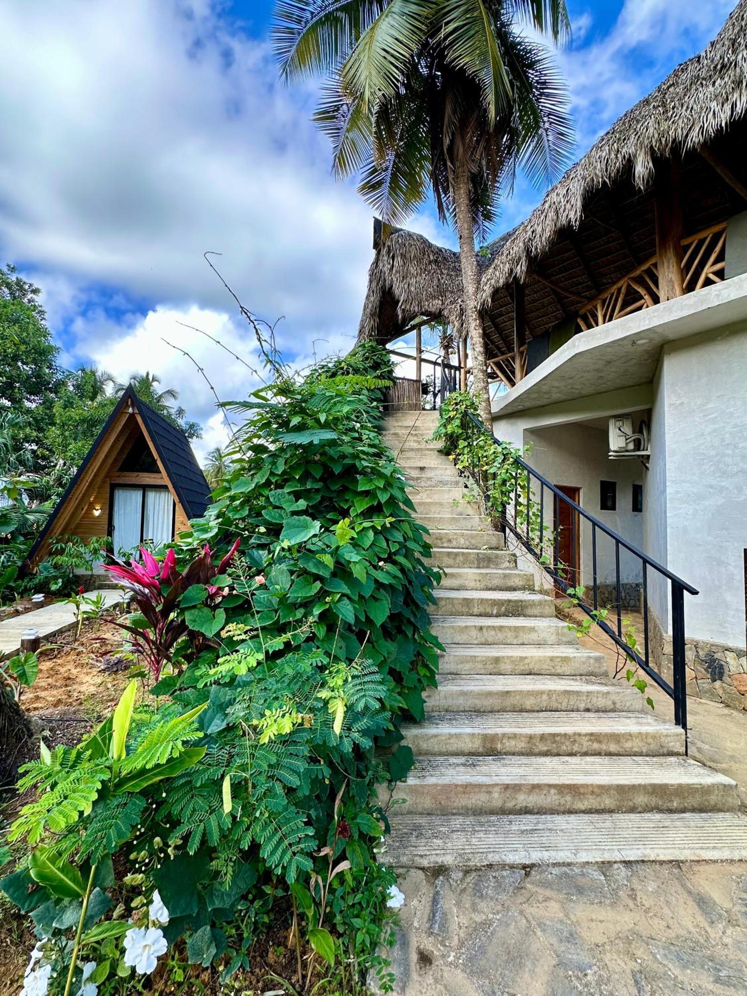 Leisy'S Garden Hostel & Rooms Samana Dış mekan fotoğraf